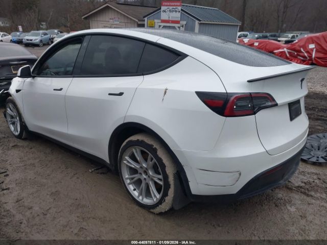 2023 TESLA MODEL Y 7SAYGDEE9PF602906 Photo 2