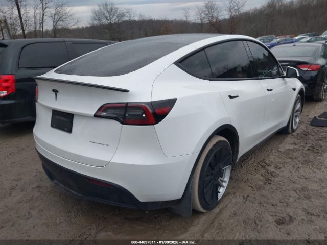 2023 TESLA MODEL Y 7SAYGDEE9PF602906 Photo 3