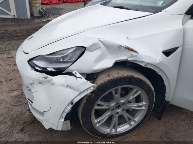 2023 TESLA MODEL Y 7SAYGDEE9PF602906 Photo 5