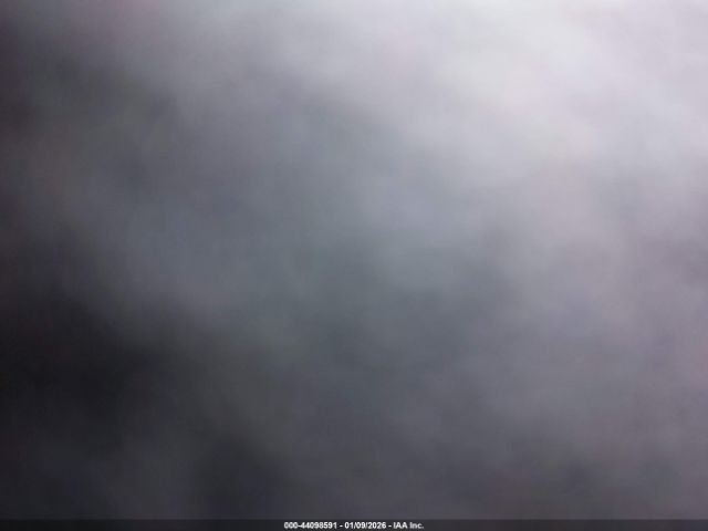 2019 TESLA MODEL 3 5YJ3E1EB8KF452040 Photo 9