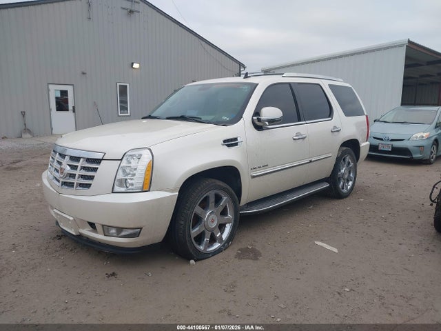 2011 CADILLAC ESCALADE 1GYS4BEF8BR287487 Photo 1