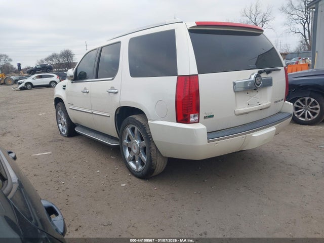 2011 CADILLAC ESCALADE 1GYS4BEF8BR287487 Photo 2