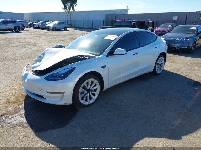 2023 TESLA MODEL 3 5YJ3E1EA4PF562145 Photo 1