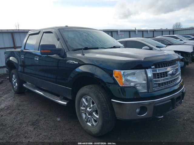 2013 FORD F-150 1FTFW1EF1DFB70995