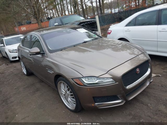 2016 JAGUAR XF SAJBK4BV6GCY20564