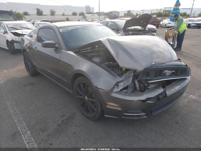 Ford Mustang V6 2014 1ZVBP8AM4E5263328 главное изображение
