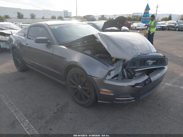 Ford Mustang V6 2014 1ZVBP8AM4E5263328 Image 13