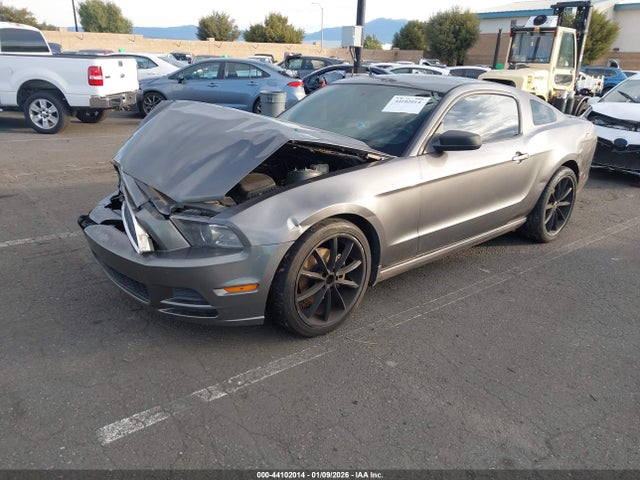 Ford Mustang V6 2014 1ZVBP8AM4E5263328 Image 2
