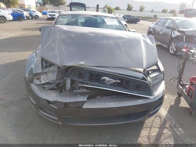 Ford Mustang V6 2014 1ZVBP8AM4E5263328 Image 6