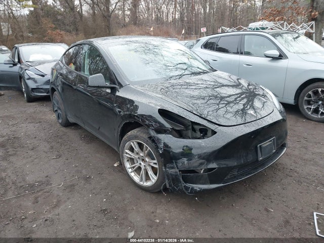 2023 TESLA MODEL Y 7SAYGDEE3PA186610 Photo 0