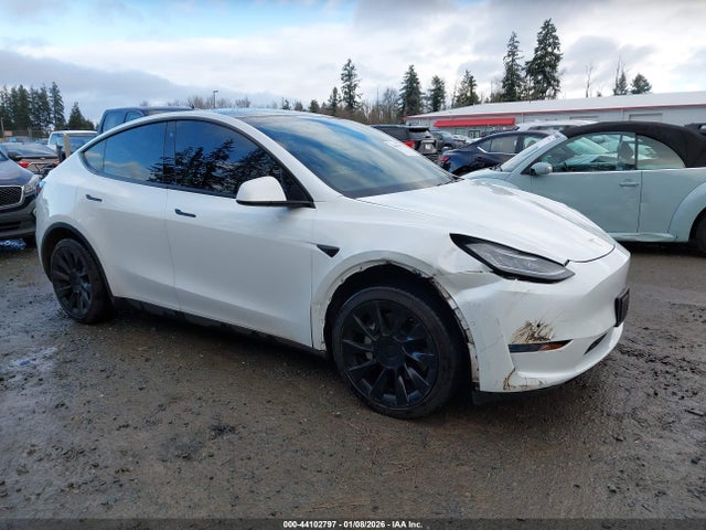 2020 TESLA MODEL Y 5YJYGDEF7LF004264 Photo 0
