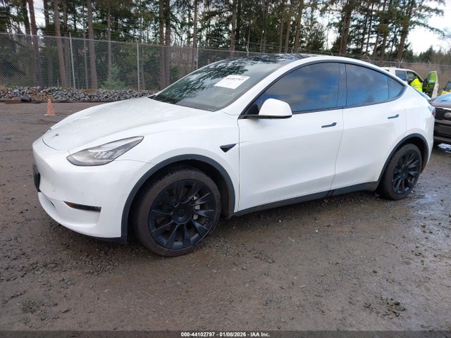 2020 TESLA MODEL Y 5YJYGDEF7LF004264 Photo 1