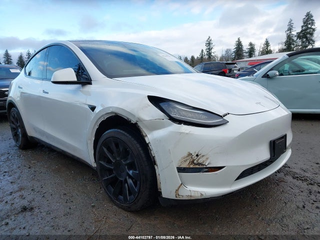 2020 TESLA MODEL Y 5YJYGDEF7LF004264 Photo 5