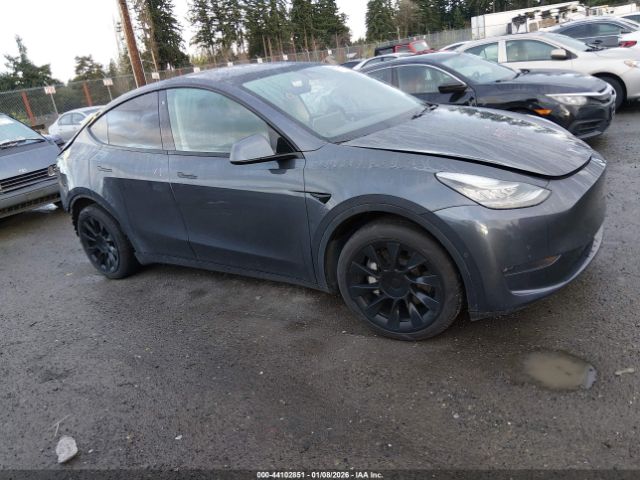 2020 TESLA MODEL Y 5YJYGDEE9LF059600