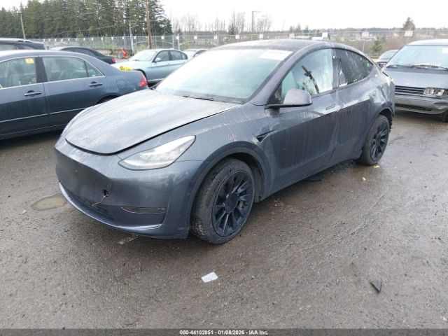 2020 TESLA MODEL Y 5YJYGDEE9LF059600 Photo 1
