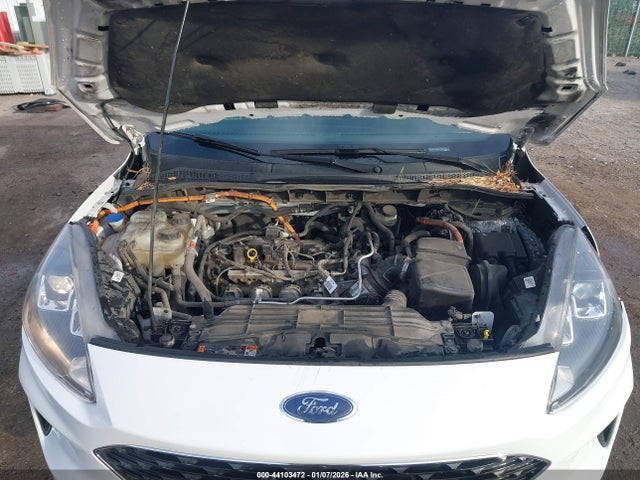 1FMCU0BZ1MUB12054 Ford Escape Se Hybrid