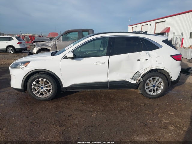 1FMCU0BZ1MUB12054 Ford Escape Se Hybrid