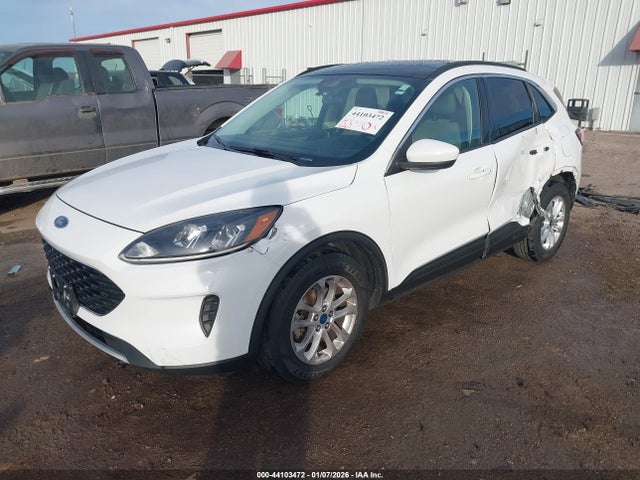 1FMCU0BZ1MUB12054 Ford Escape Se Hybrid