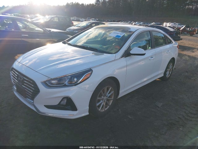 5NPE24AF3JH679132 Hyundai SONATA SE