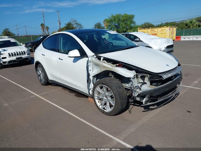 2021 TESLA MODEL Y 5YJYGDEE5MF096757 Photo 0