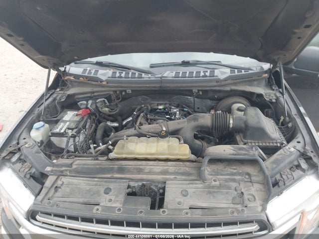 1FTEW1CP1KKC83843 Ford F-150 Xlt