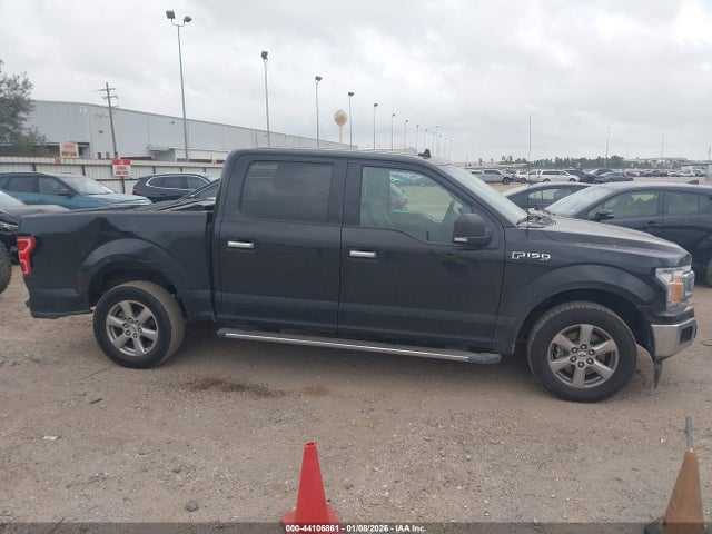 1FTEW1CP1KKC83843 Ford F-150 Xlt