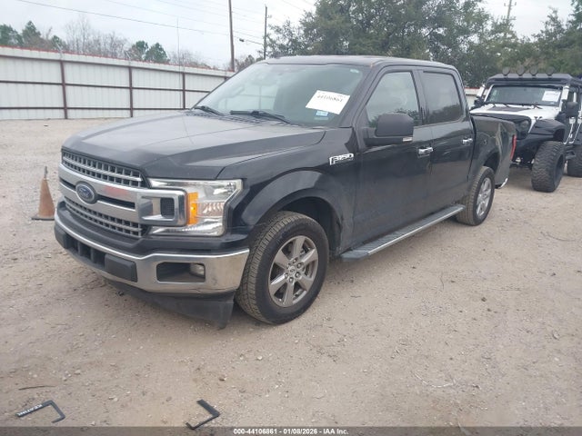 1FTEW1CP1KKC83843 Ford F-150 Xlt