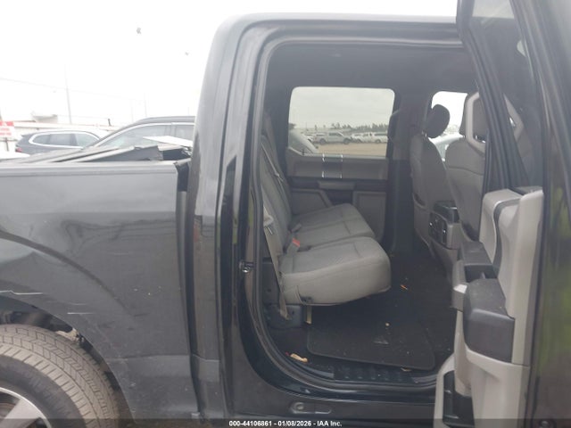 1FTEW1CP1KKC83843 Ford F-150 Xlt