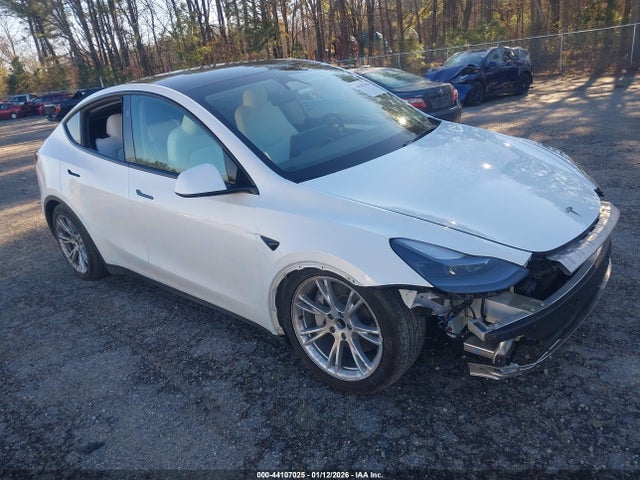 2024 TESLA MODEL Y 7SAYGDED2RF010631