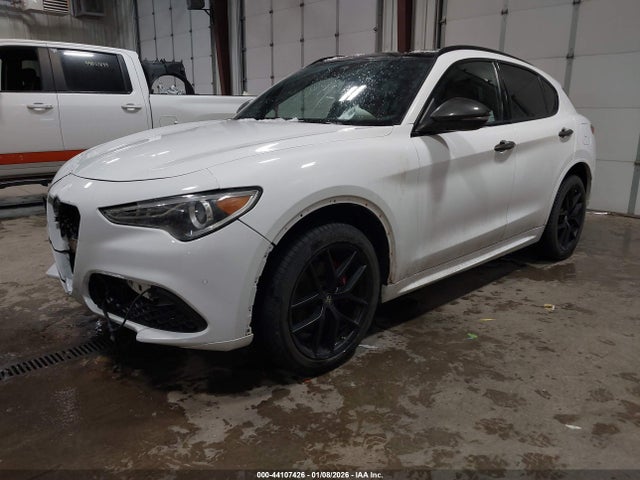 2020 ALFA ROMEO STELVIO ZASPAKBN0L7C76309 Photo 1