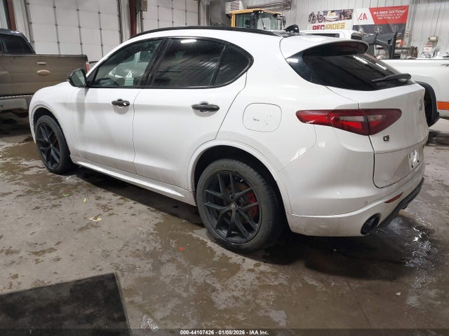 2020 ALFA ROMEO STELVIO ZASPAKBN0L7C76309 Photo 2