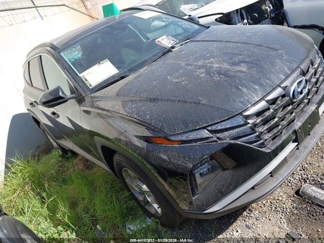Hyundai TUCSON SEL 2024 5NMJBCDE7RH385172 главное изображение