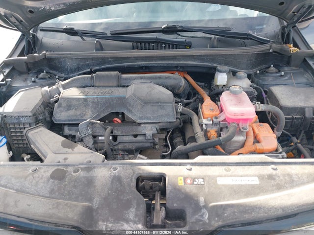 KNDPVCAG8P7084745 KIA Sportage Hybrid Ex