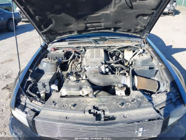 2007 FORD MUSTANG 1ZVHT82H875215602 Photo 9