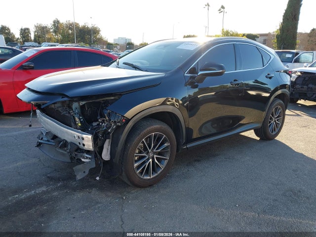 2024 LEXUS NX 250 2T2ADCAZ2RC010602 Photo 1