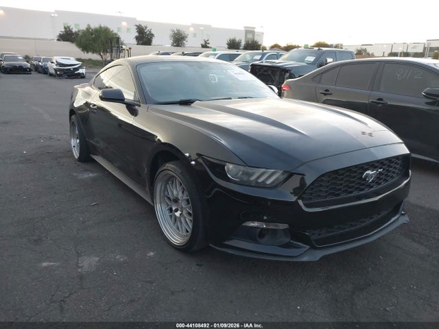 2015 1FA6P8TH6F5431398 main image