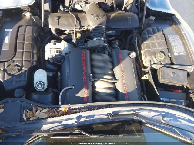 1999 CHEVROLET CORVETTE 1G1YY22G3X5101931 Photo 9