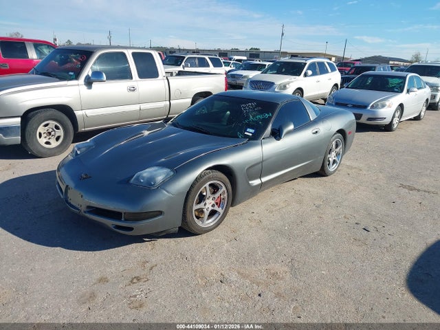 1999 CHEVROLET CORVETTE 1G1YY22G3X5101931 Photo 1