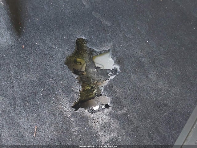 2024 TESLA MODEL Y 7SAYGDEF7RA295955 Photo 5