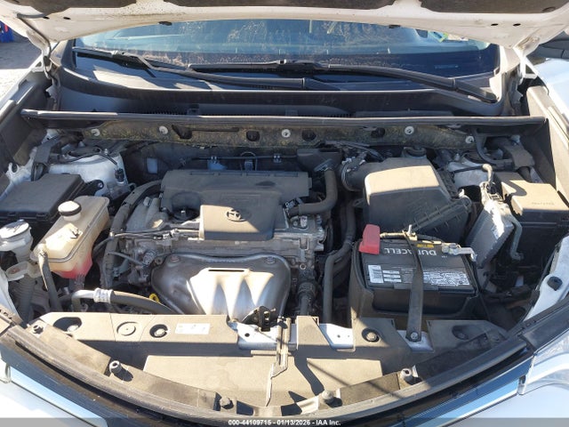 JTMBFREV3JJ258766 Toyota RAV4 LE