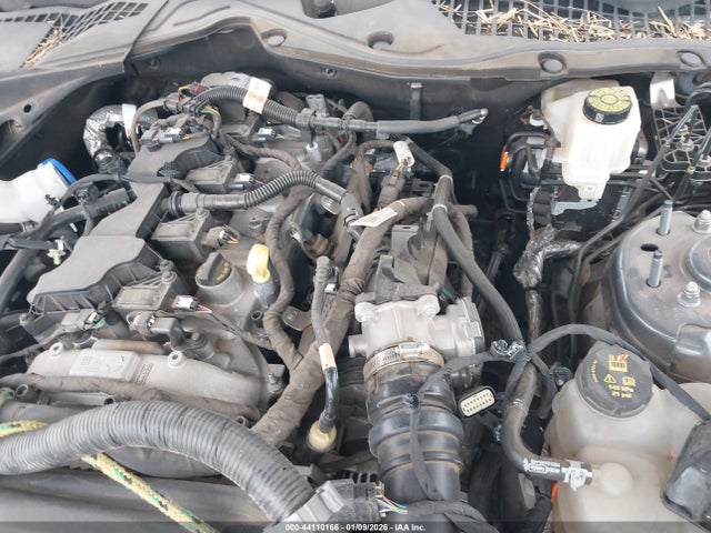 Ford Mustang Ecoboost Fastback 2024 1FA6P8TH7R5113990 Image 10