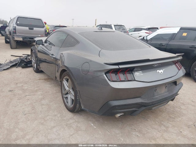 Ford Mustang Ecoboost Fastback 2024 1FA6P8TH7R5113990 Image 3