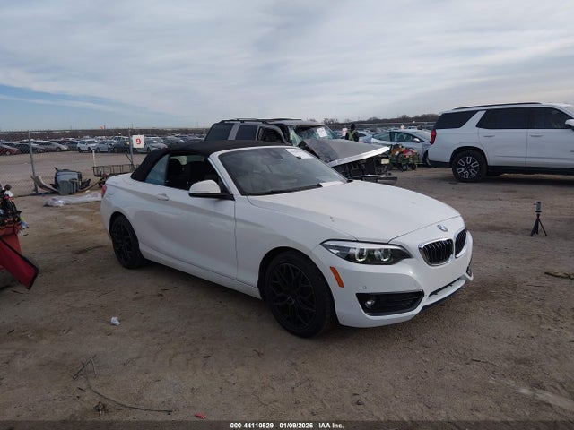 2019 BMW 230I WBA2K1C54KVD41861