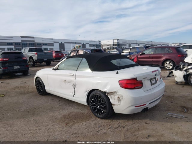 2019 BMW 230I WBA2K1C54KVD41861 Photo 2