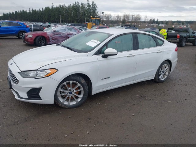 Ford Fusion Hybrid Se 2019 3FA6P0LU9KR241262 Image 2