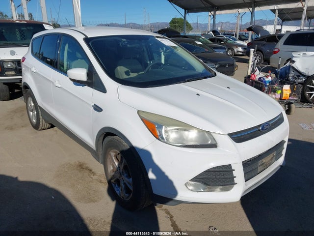 2014 FORD ESCAPE 1FMCU0GX7EUD95004