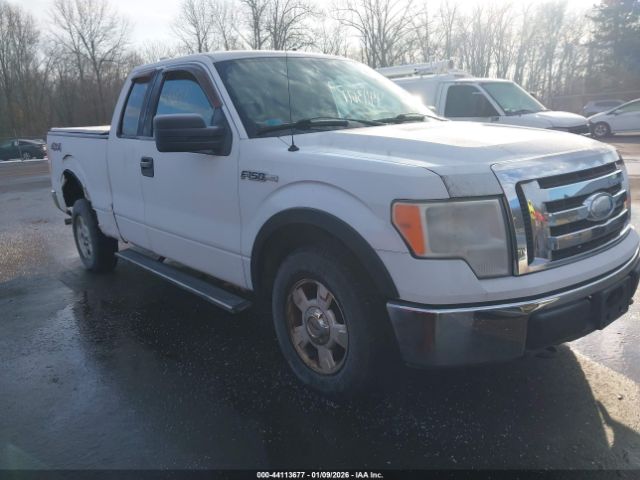 2009 FORD F-150 1FTRX14819FA10703