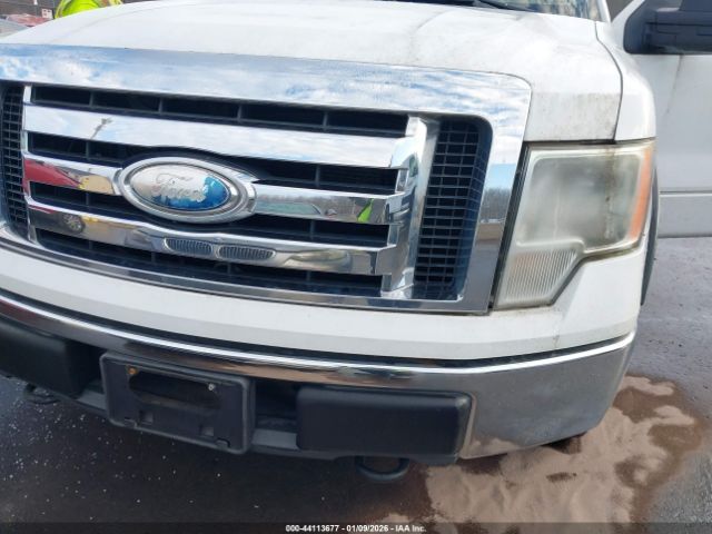 2009 FORD F-150 1FTRX14819FA10703 Photo 5