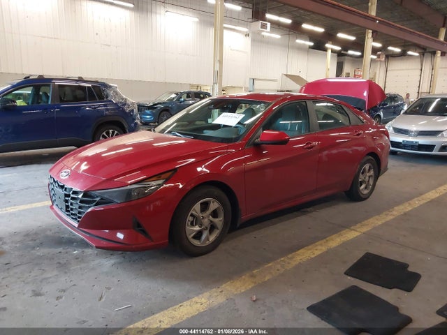 KMHLL4AG5PU456081 Hyundai ELANTRA SE