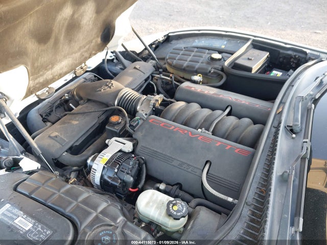 2001 CHEVROLET CORVETTE 1G1YY22G115110389 Photo 9